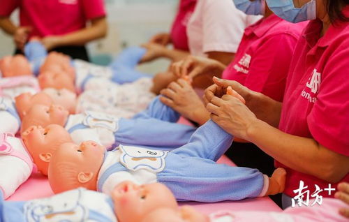 一次性補助15萬，中山大力扶持家政服務培訓基地建設(shè)